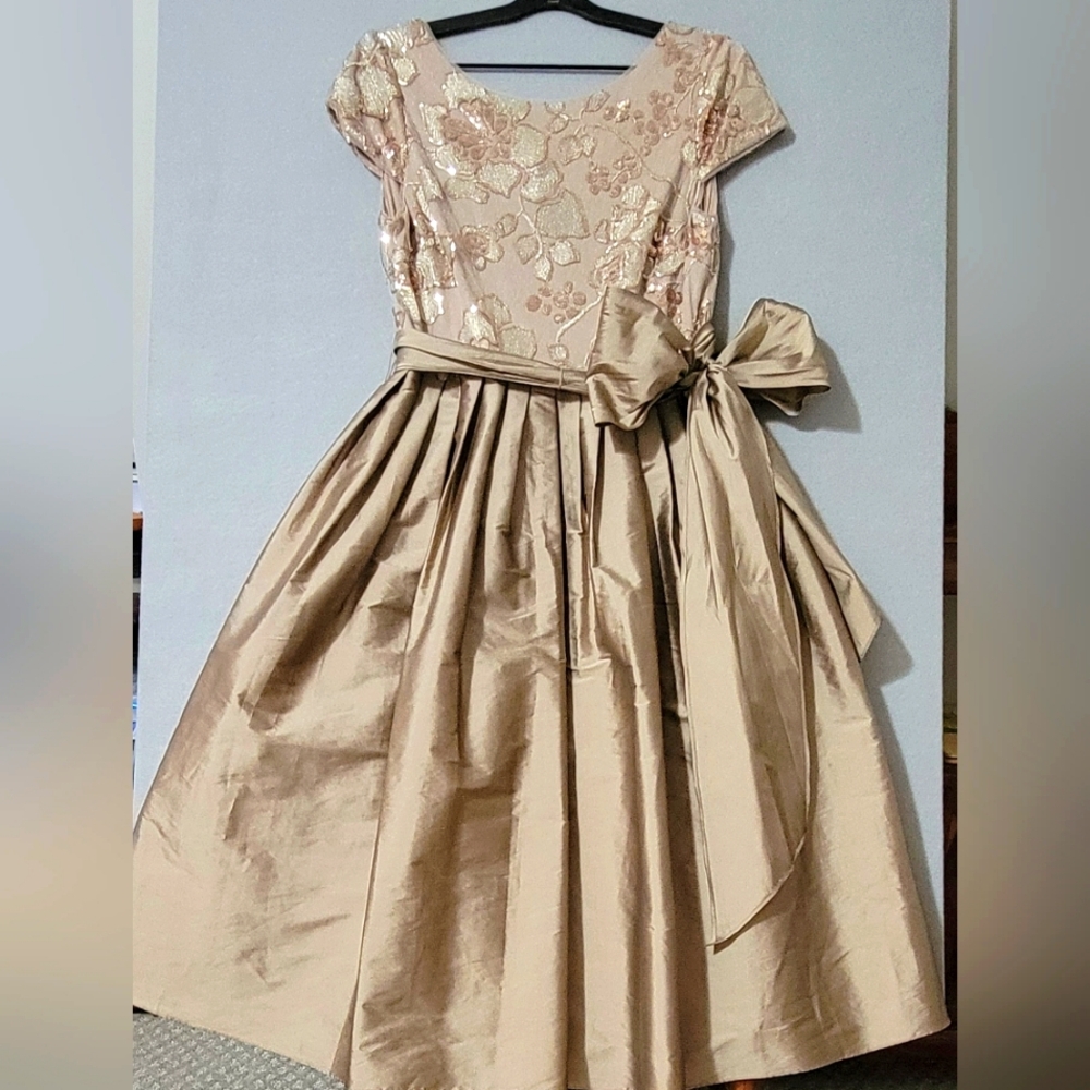 Adrianna Papell Blush & Gold Floral Embroidered Midi Dress